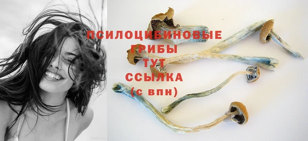 спайс Карпинск