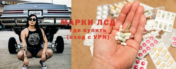 спайс Карпинск
