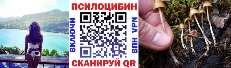 Псилоцибиновые грибы мухоморы  Краснознаменск 